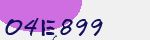 Security Code